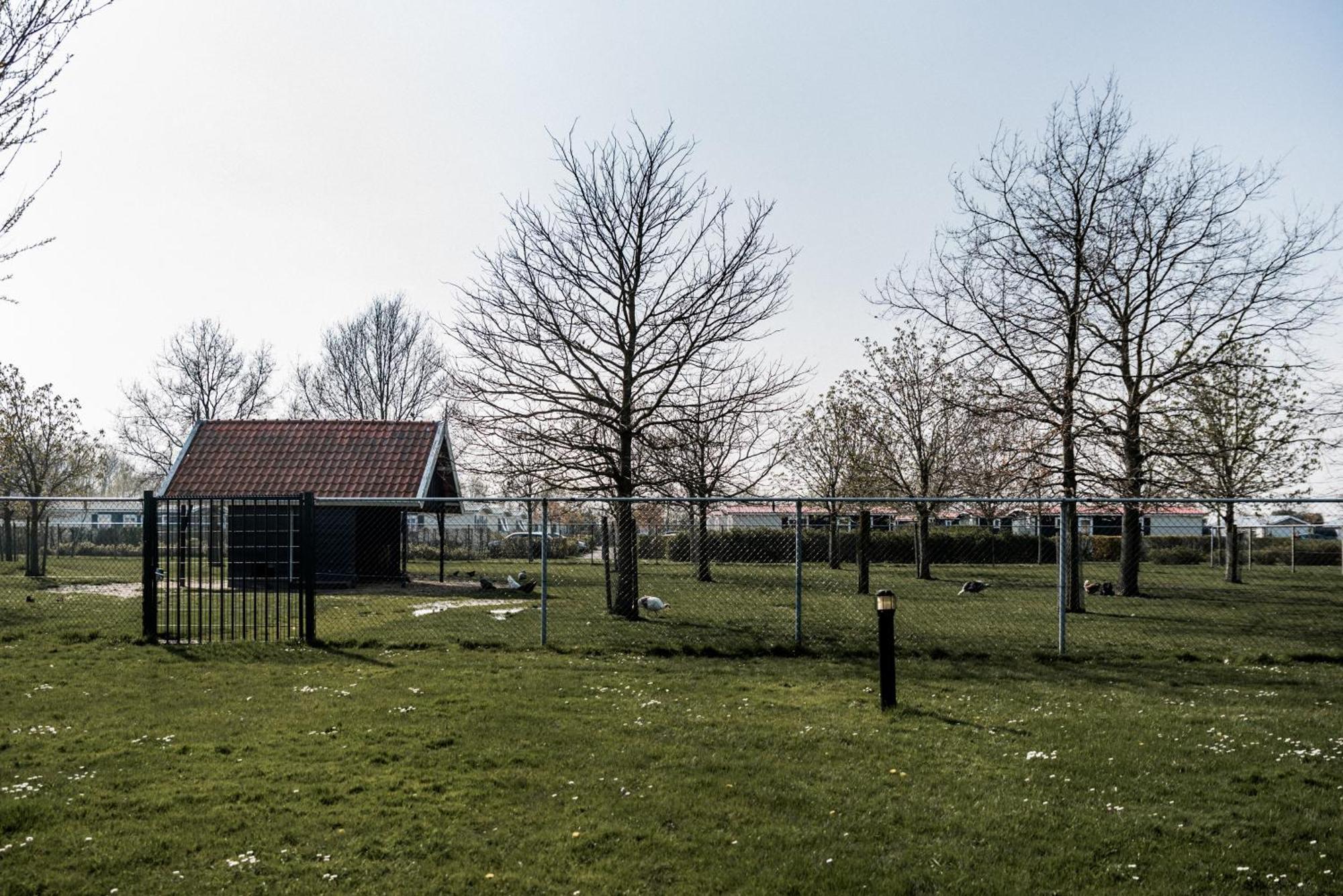 Zeeuws Genieten In Baarland, Zeeland Chalet